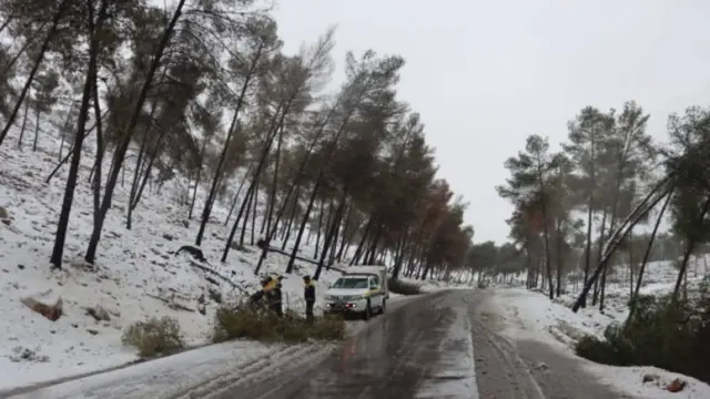 الثلوج تغطي الطرق في سوريا وقوات الأمن تحاول إزالة الأشجار التي سقطت