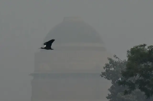 દિલ્હીમાં ભયંકર વાયુ પ્રદૂષણ