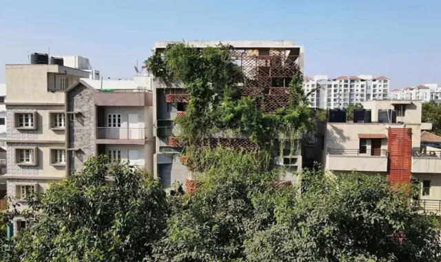 Trois bâtiments de taille moyenne, accolés les uns aux autres. Dans le bâtiment du milieu, plusieurs plantes sortent des ouvertures des treillis faits d'argile pour les protéger du soleil