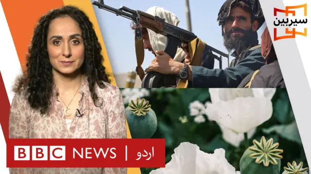 افغانستان میں منشیات