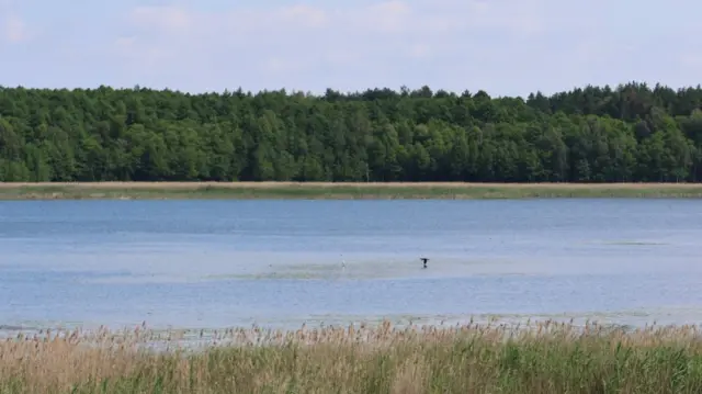Шацькі озера панорама