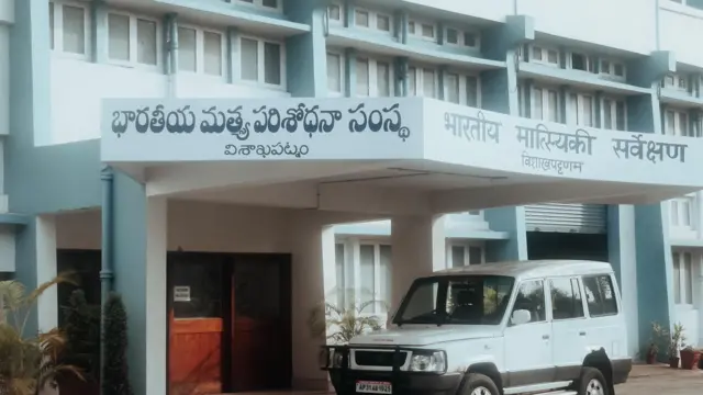 నీలి తిమింగలం