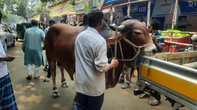 তেজগাঁও কোরবানির পশুর হাট 
