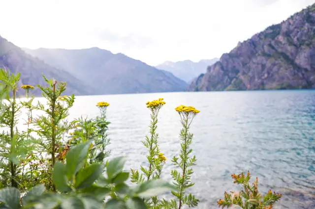 Ачык маалыматтар боюнча көл мындан 10 миӊ жыл мурда жер титирөөдөн улам пайда болгон. 