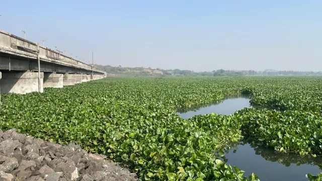 આજી-2 ડૅમની 24 નવેમ્બર, 2025ના રોજ લેવાયેલી તસ્વીર