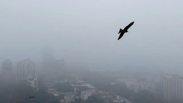 దిల్లీని కమ్మేసిన పొగమంచు