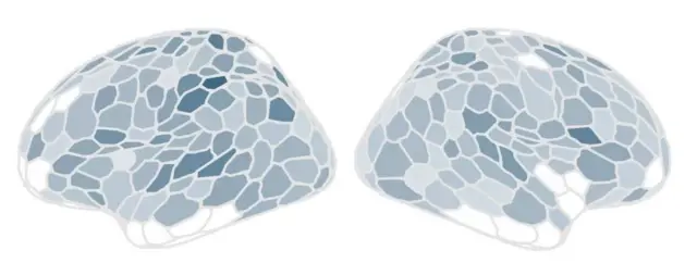 ਗਰਭ ਅਵਸਥਾ