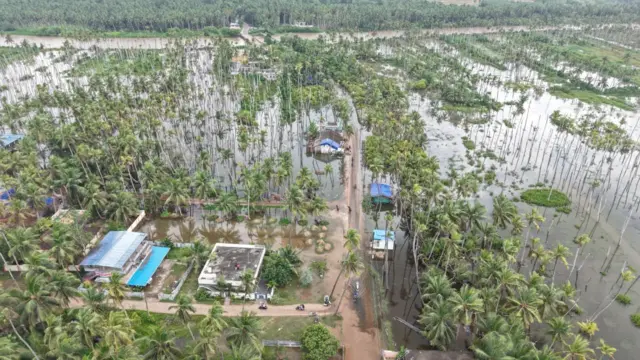 కేశనపల్లి కొబ్బరితోటలు