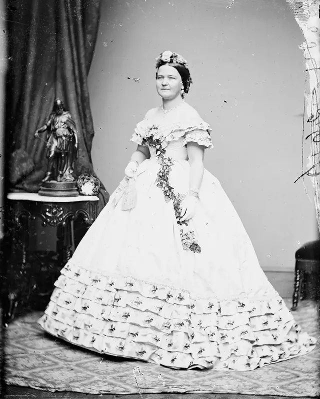 Один з портретів Мері Тодд Лінкольн роботи Метью Брейді, який не був знищений, попри її вказівку