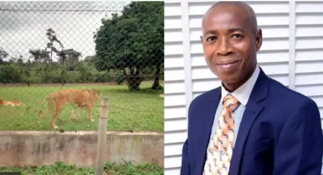 Agụ na Olabode Olawuyi 