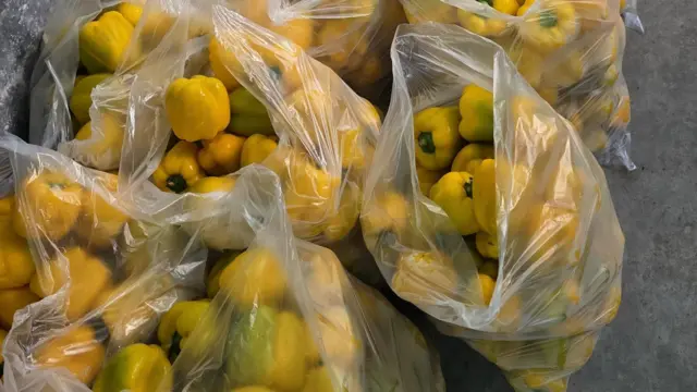 বাংলাদেশে ক্যাপসিকামের চাহিদা বাড়ছে