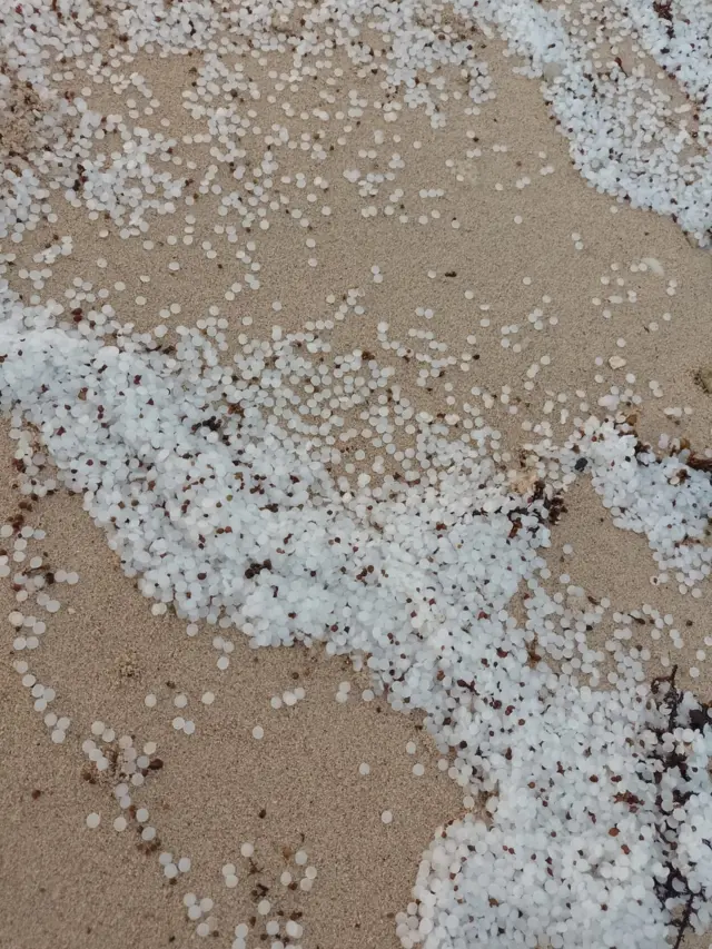 නෞකාවේ තිබූ ප්ලාස්ටික් පෙලට්ස් ඊයේ (ජුනි 11 වැනිදා) ඩෙල්ෆ්, නාගදීප, කිලිනොච්චිය යන ප්‍රදේශවල මුහුදු වෙරළට ගොඩගසා තිබිණි.