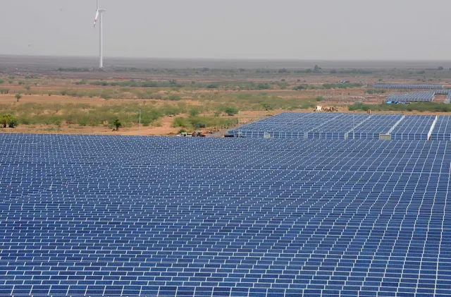 ગિરનાર, ગુજરાત, વનવિભાગ, બીબીસી ગુજરાતી, ગુજરાત વિધાનસભા