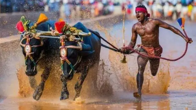 கம்பாலா