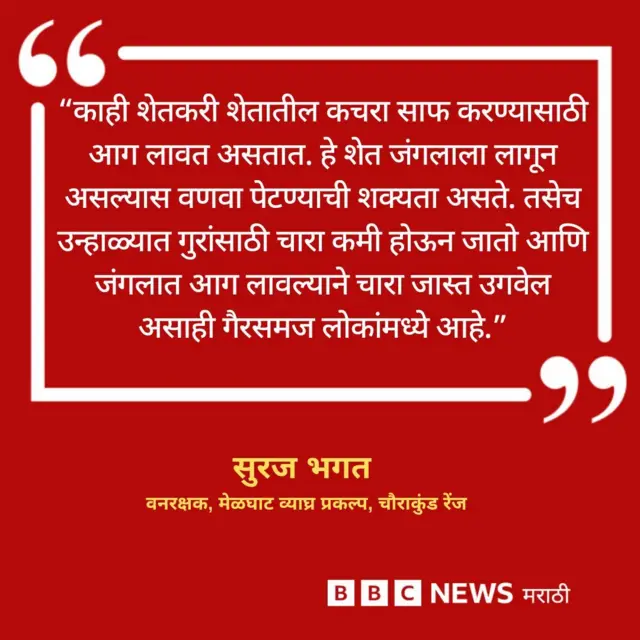 ग्राफिक्स