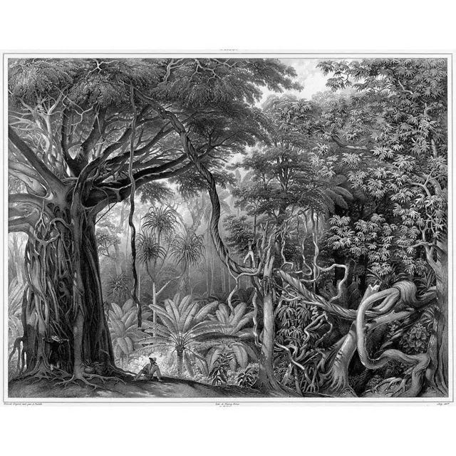 સાપ અને કરોળિયા, ખતરનાક ટાપુ, ગુઆમ, અમેરિકા, બીબીસી ગુજરાતી