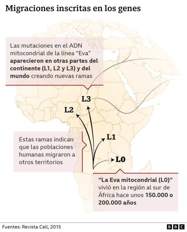 Gráfico con mapa de África y migraciones inscritas de los genes