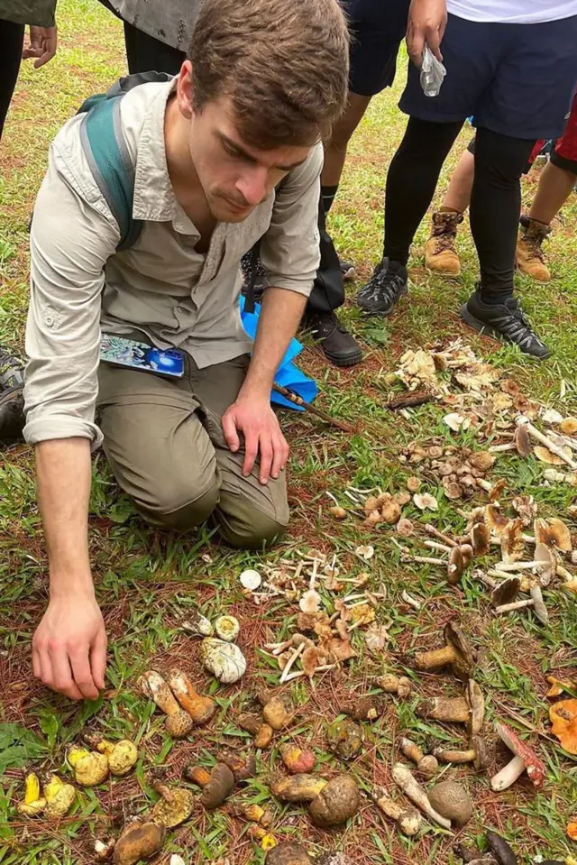 કાચા મશરૂમનું રહસ્ય, પરી જેવા નાના નાના હજારો માણસો દેખાય, ઘેન ચડવું, ચીન, ફિલિપાઇન્સ, બીબીસી ગુજરાતી, હેલ્થ, મશરૂમ, કાચાં મશરૂમ, ભ્રમણા, આભાસ. વિચિત્ર બીમારી, મેડિકલ સાયન્સ, દવા