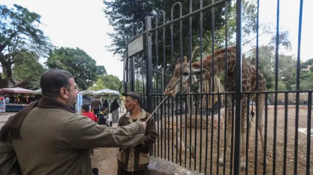 مصريون يتنزهون في حديقة حيوان الجيزة