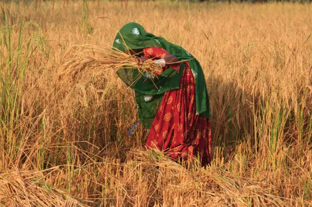 علامتی تصویر