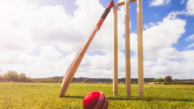 క్రికెట్ బ్యాట్ సైజు, నియమాలు 