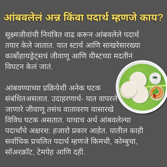 आंबवलेले पदार्थ म्हणजे काय?