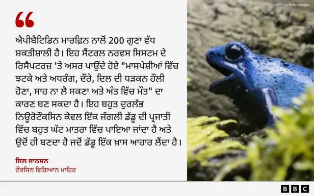 ਜਿਲ ਜਾਨਸਨ