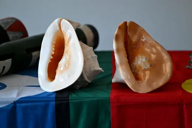 'වාලම්පුරි කියලා විකුණන සමහර බෙල්ලෝ ඉන්නවා විදේශීය බෙල්ලෝ. ඒ අය ලඟ තබා ගත්තා කියලා වනජීවී එක නීතිය ක්රියාත්මක කරන්නේ නැහැ.'