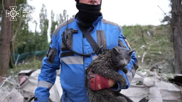 спасатель с котом