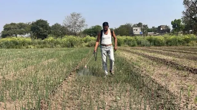 शेतकरी कर्जमाफी योजना