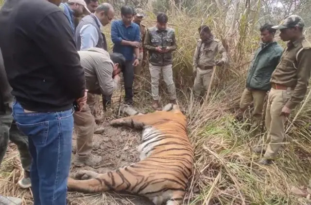 தூத்வா புலிகள் காப்பகத்தில் பெண் புலி கொலை, உத்தர பிரதேசம், வன உயிர் பாதுகாப்பு