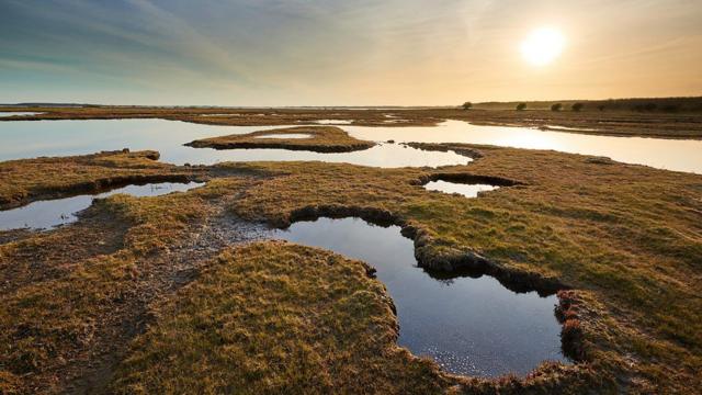 يمكن للزوار استكشاف المناظر الطبيعية لأرخبيل ساوث فين عن طريق البر أو البحر