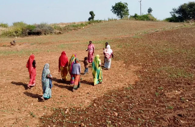 મહિલા ખેડૂતો 