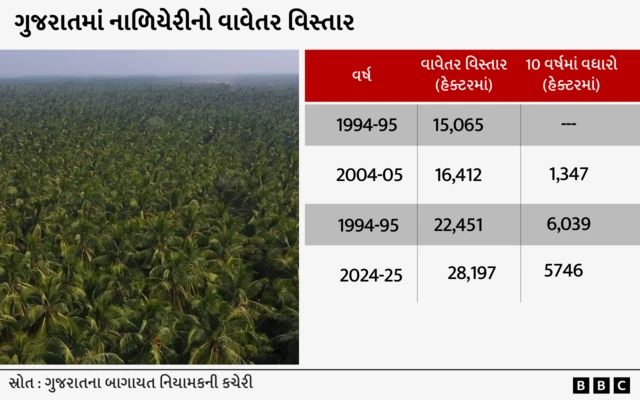 ગુજરાત, બીબીસી ગુજરાતી, નાળિયેરીની ખેતી, જૂનાગઢ, ગીર સોમનાથ, ગુજરાતની ખેતી, નાળિયેરી કેવી રીતે ઊગે, નાળિયેર પાણી