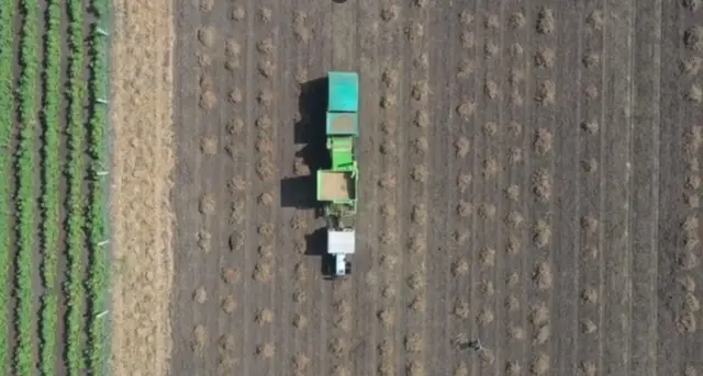 રાજકોટ ખેડૂત ખેતી