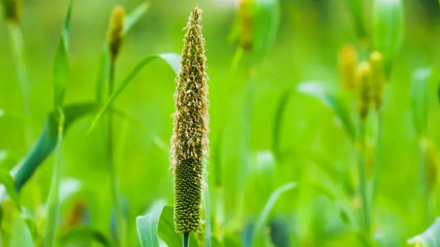 சர்க்கரை மகிழ்ச்சியைப் பறிக்கும்.