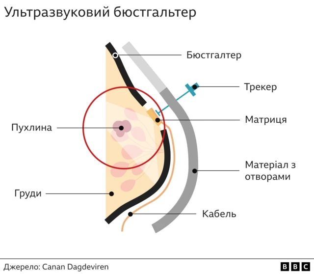 бюстгальтер