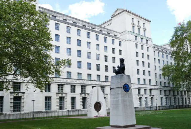 မြန်မာပြည်က မေ့လျော့နေကြတဲ့ မြန်မာခြင်္သေ့