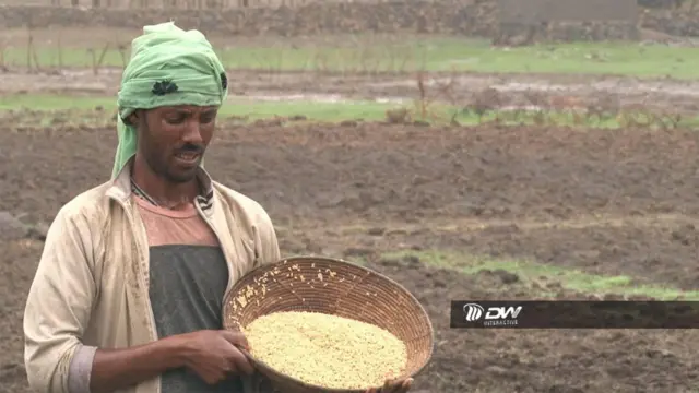 ሓረስታይ