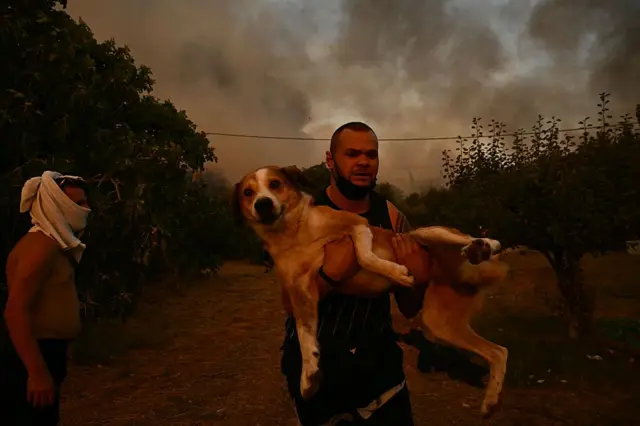 أحد السكان يحمل كلباً أثناء حريق غابات بالقرب من مدينة باتراس، غرب اليونان في 13 أغسطس/آب 2025.