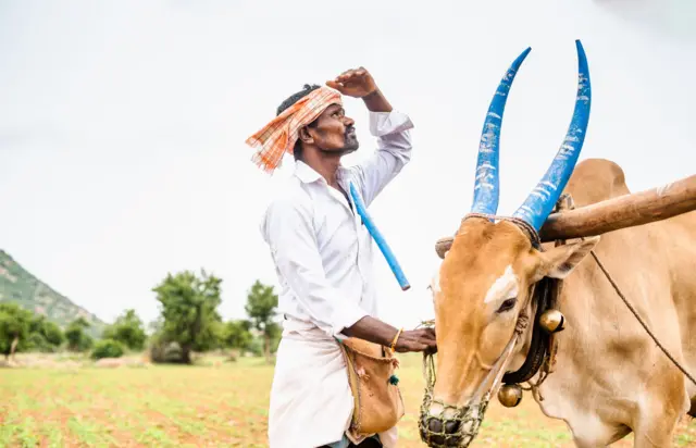 વરસાદની રાહ જોઈ રહેલો ખેડૂત
