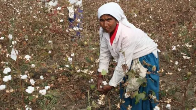 प्रातिनिधिक फोटो