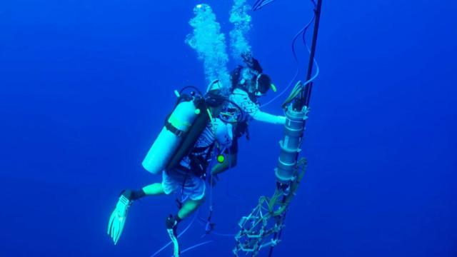 Fotografia mostra mergulhador com equipamento de pesquisa 