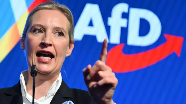 Алис Вайдель 