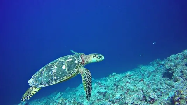 લક્ષ્યદ્વીપ