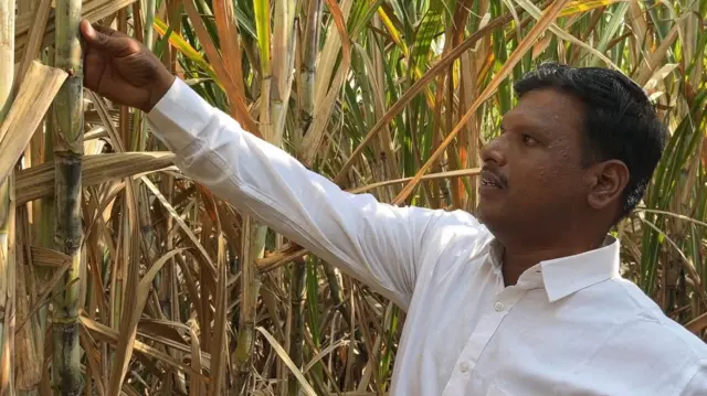 शेतकरी दयानंद रायकोटी