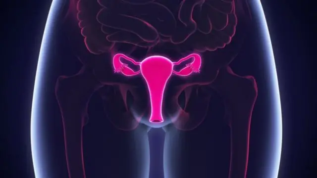 వజైనల్ ఆట్రఫీ