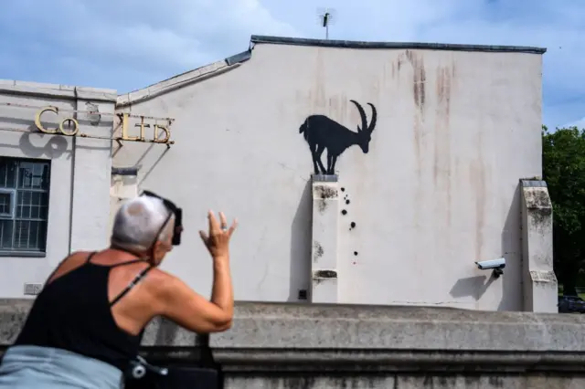 grafiti kambing banksy