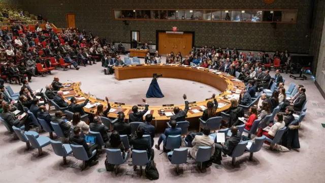 UN Security Council