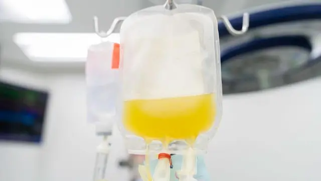 ইমিউনোগ্লোবুলিন বা প্লাজমা